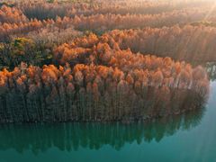 -上海海湾国家森林公园