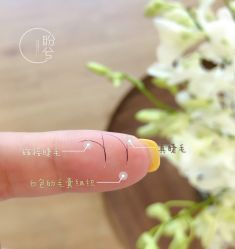 -盼兮·日式美睫沙龙