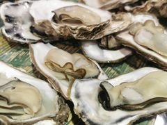 -浩运海鲜·16年专注青岛菜(石老人店)