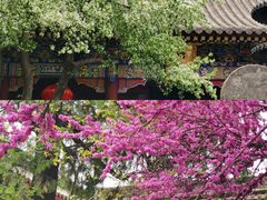 -万寿八仙宫