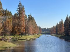 -黄海国家森林公园