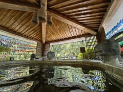 -中家鑫园温泉酒店鑫悦汤泉