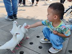 -天津妈祖文化园
