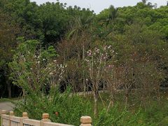 -华南国家植物园-售票处