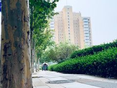 -2326 Coffee Roaster咖啡豆可选店(林肯公园店)
