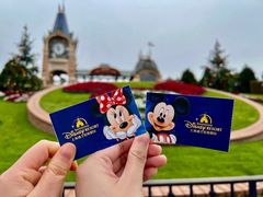 -上海迪士尼度假区