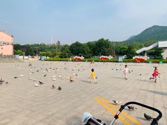 -府君山公园