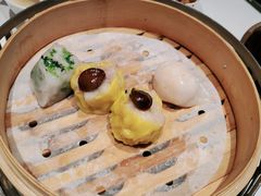 -潮上潮(南中环店)