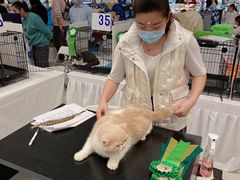 -凯德广场(武胜路店)