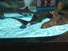 -阿伟海鲜楼·福建菜(延寿店)