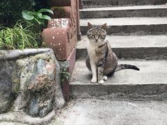 -九峰山