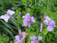 -雨花台烈士纪念馆