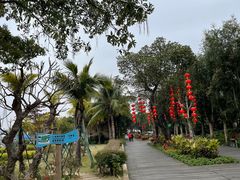 -中澳友谊花园