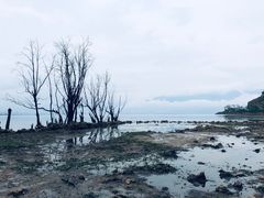 -小普陀