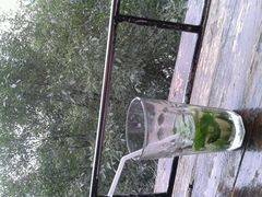 Mojito-么哈(五道口店)