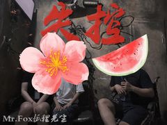 -Mr.Fox狐狸先生超级密室(南山店)