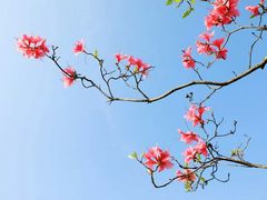 -南京市无想山景区