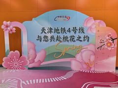 -桃花堤公园