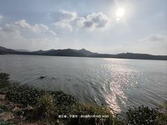 -东钱湖旅游度假区