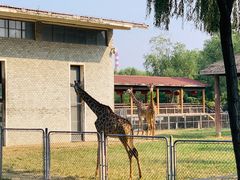 -石家庄市动物园