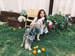 -三圣花乡旅游区