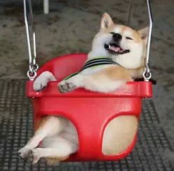 -别匠造型工作室
