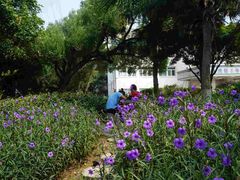-广西壮族自治区南溪山医院