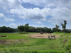-宁波野生动物园