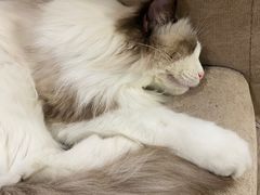 -iF摄影•全家福•证件照•形象照(南山店)