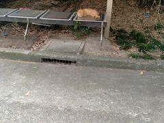 -瑞慈体检上海松江机构