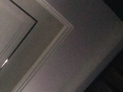 -派多格宠物(御景湾店)