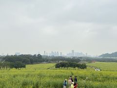 -光明小镇欢乐田园
