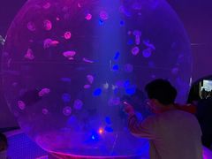 -江和美海洋公园