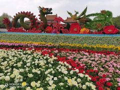 -北陵公园