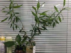 -新航道雅思托福·留学·考研培训(人民广场校区)