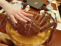 帝王蟹-蟹田居·活蟹料理(东城店)