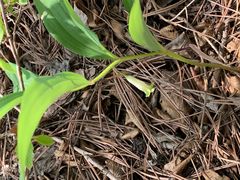 -玉渡山风景区-售票处