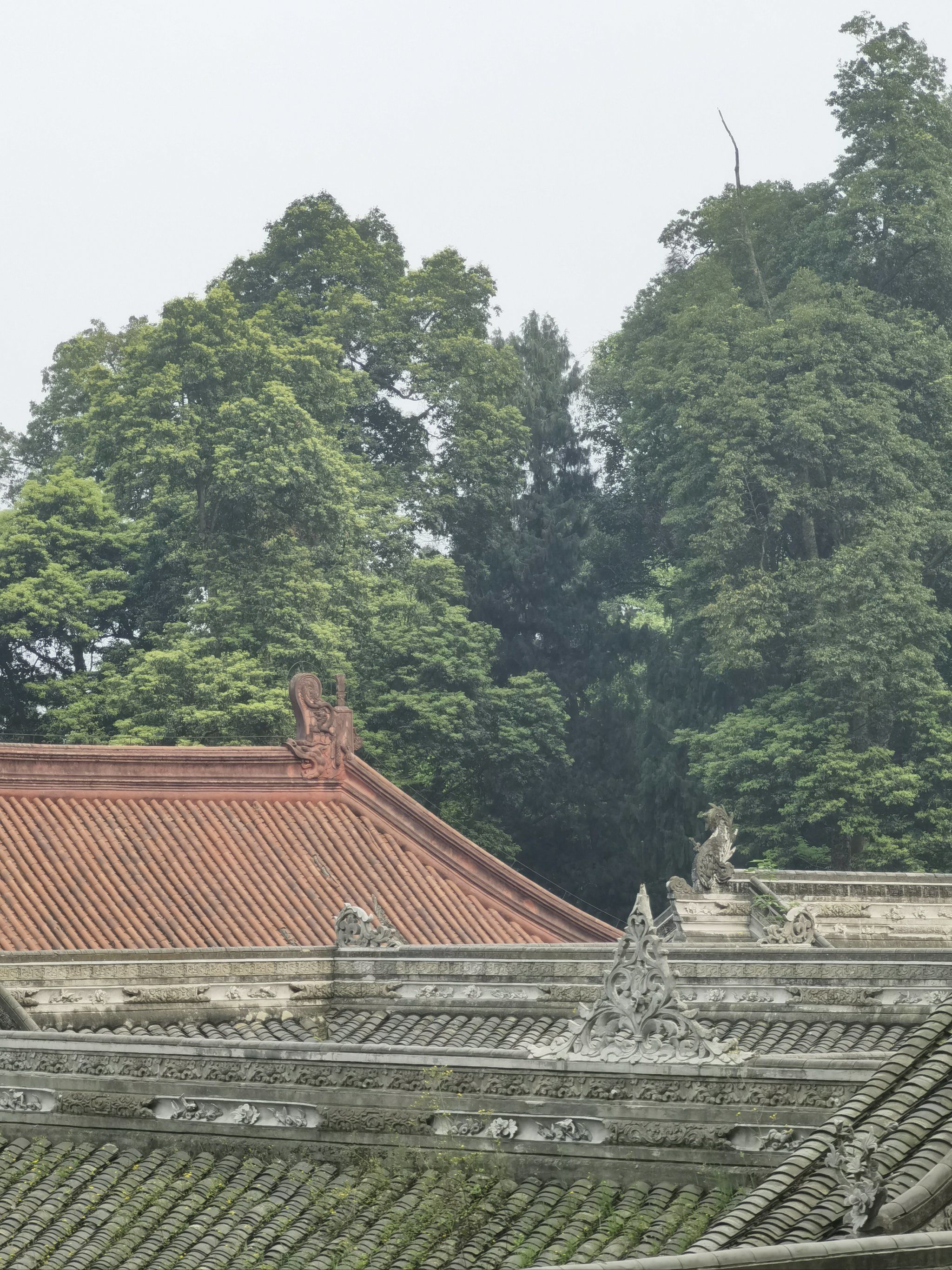 青城山安静清幽的普照寺
