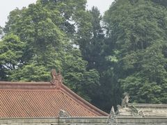 -都江堰普照寺