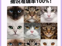 -lincat·猫舍(广州店)