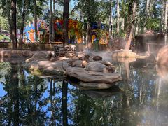 -北京野生动物园