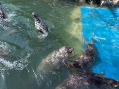 -华夏文旅海洋公园