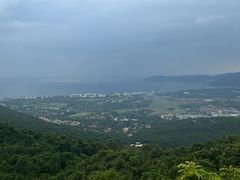 -三亚亚龙湾人间天堂鸟巢度假村