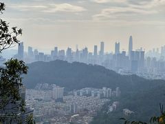 -深圳仙湖植物园