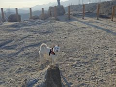 -白水寺森林公园