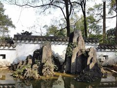 -南山植物园