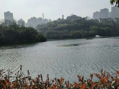 -重庆彩云湖湿地公园