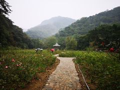 -广州市石门国家森林公园