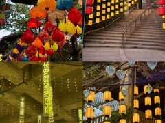 -长鹿旅游休博园