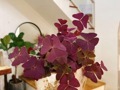 -森野花艺培训·企业团建活动沙龙